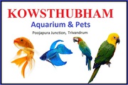 AQUARIUM IN THIRUVANANTHAPURAM