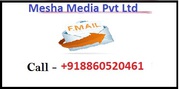 Benefit with bulk email service provider in noida delhi