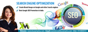                Professional SEO Services
