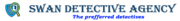 Private Detective Services