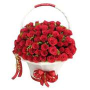 Get Well Soon with Flowers Online through MFT