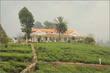 LA Maison | Resort in kotagiri- ooty | Homestays in ooty,  kotagiri 