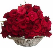 Indore Valentine 2016 Flower and Chocolates
