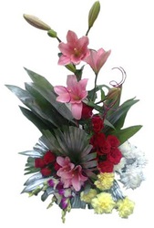 Send Valentine 2016 flowers to Jalandhar 