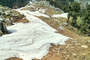 Triund Paradise for Nature Lovers