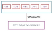 Html Tagging Conversion Software Offline Typing Jobs Typing Services