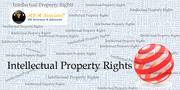 Intellectual Property Rights