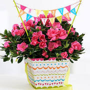 Send Flowers to Chandigarh