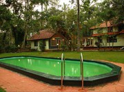 ORCHID Resorts in wayanad,  homestays and accommodations Kerala