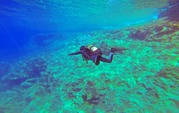 best scuba diving in goa