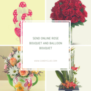 Send Cakes, Flower and Gifts to Chandigarh