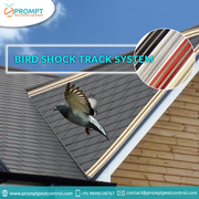 Make Your Property Bird Free with Prompt Pest Control Services