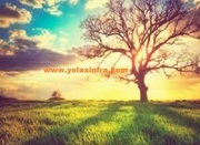Environmental Health & Safety Consulting Firms in India