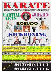 Learn karate kick boxing