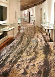 3D Interior Design Solutions