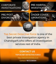 Detective agency in Chandigarh