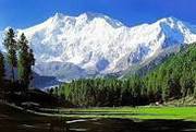 •	Kashmir Honeymoon Tour Package