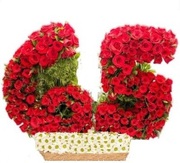Flower delivery in pune