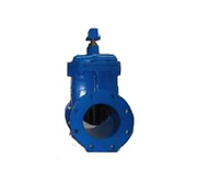 Gate Valves Manufacturers