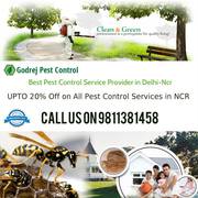 Reliable Pest Control South Delhi | Get Upto 20% OFF