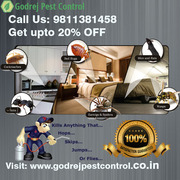  Get 20% Discount Pest Control in Delhi | South Delhi | Delhi NCR