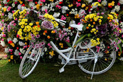 India s Largest Event Management Company in Jaipur.