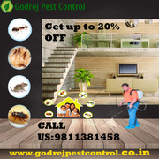 Creditable Pest Control South Delhi | Get 20% OFF