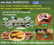 Zero Pest Solutions is Largest Provider in Termite Treatment Gurgaon 