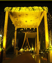 Wedding Planner In Jaipur-Purple Poppy
