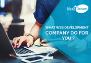 Blazedream | Professional Web Design and Development Company in India 