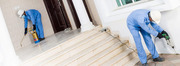 Anti-termite control services in Chandigarh