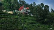 Ecorganic - Best Cottages in Ooty,  Coonoor | Resorts in Coonoor
