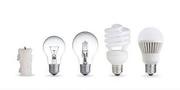 Tenders Of Bulb