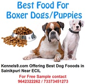 Kennels9 Offering Dog Food  Services In ECIL