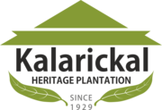 Homestay Resort in Thekkady