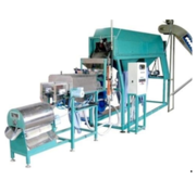Automatic Cashew Processing Machine in Ahmedabad