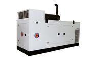Diesel Generator Sales and Services