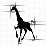 The Girafe Infotisements- web development company in chandigarh