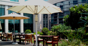 Premium Garden Umbrellas For Your Hotel!