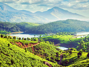 Munnar Tour Packages / Best Travel & Holiday Tour Packages in Munnar