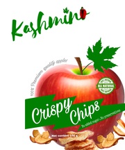 TFQ Productions is one of the Best Apple Chips Manufacturing Company 