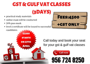 3 days gst mentorship class