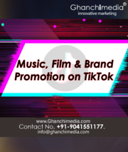 Song promotion on tiktok  india, Mumbai, delhi 