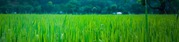 Manufacturer & Supplier Of Agrochemicals Products,  Ahmedabad,  Gujarat, 