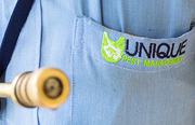 Pest control services in Chennai