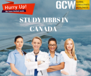 Global Consultants Worldwide