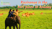 Andaman Tour Packages - Christmas Tree Hospitality
