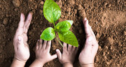 Eco Friendly Building Construction Material from Coromandel Cares