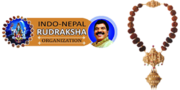1 Mukhi Rudraksha | 2 Mukhi Rudraksha |3 Mukhi Rudraksha At Best Price