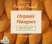  Order Best Organic Mangoes Online|Organic Aam